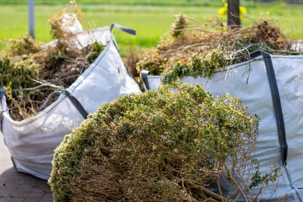 Best Yard Cleanup Services  in Harper, TX